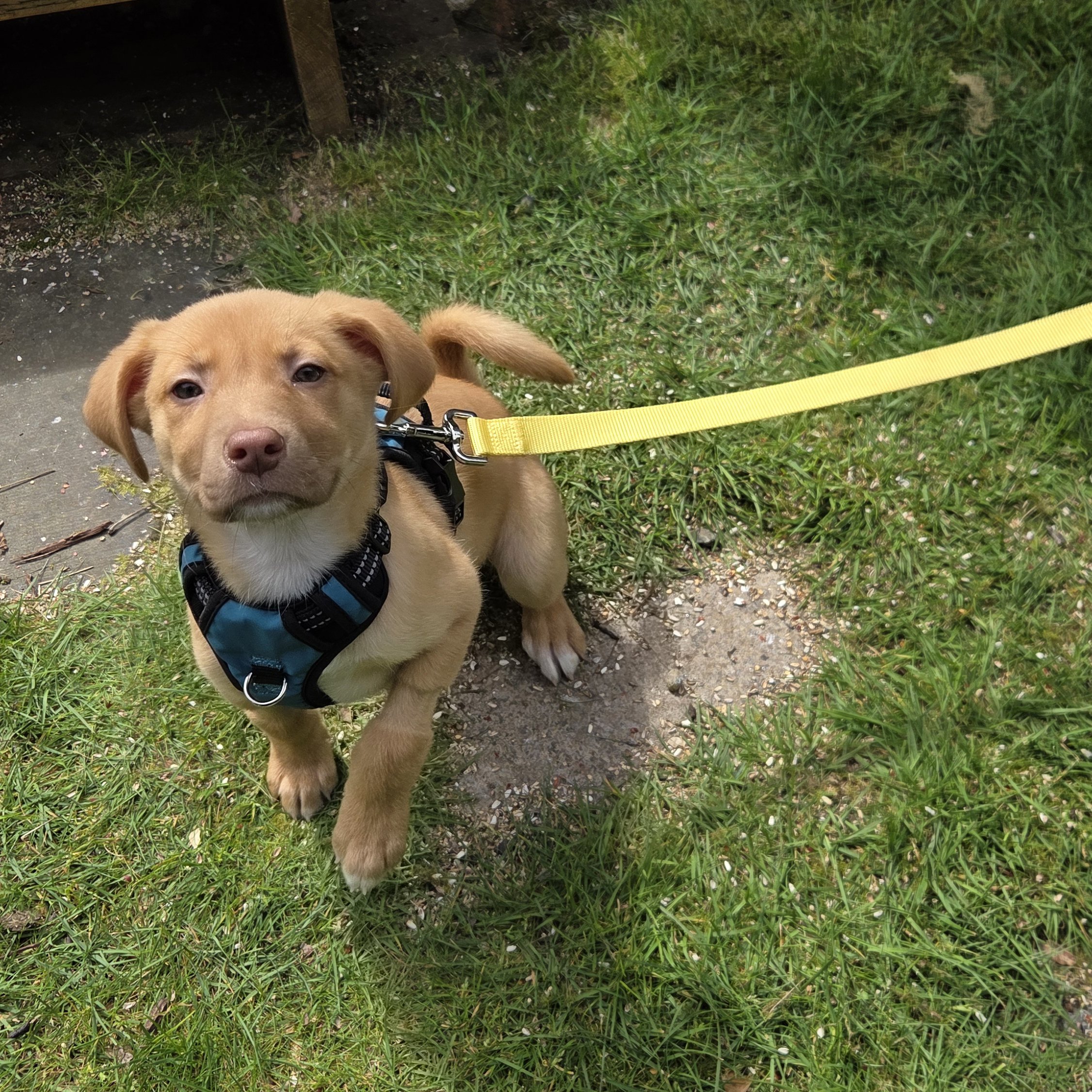 #4703 Lucy’s Third Movement