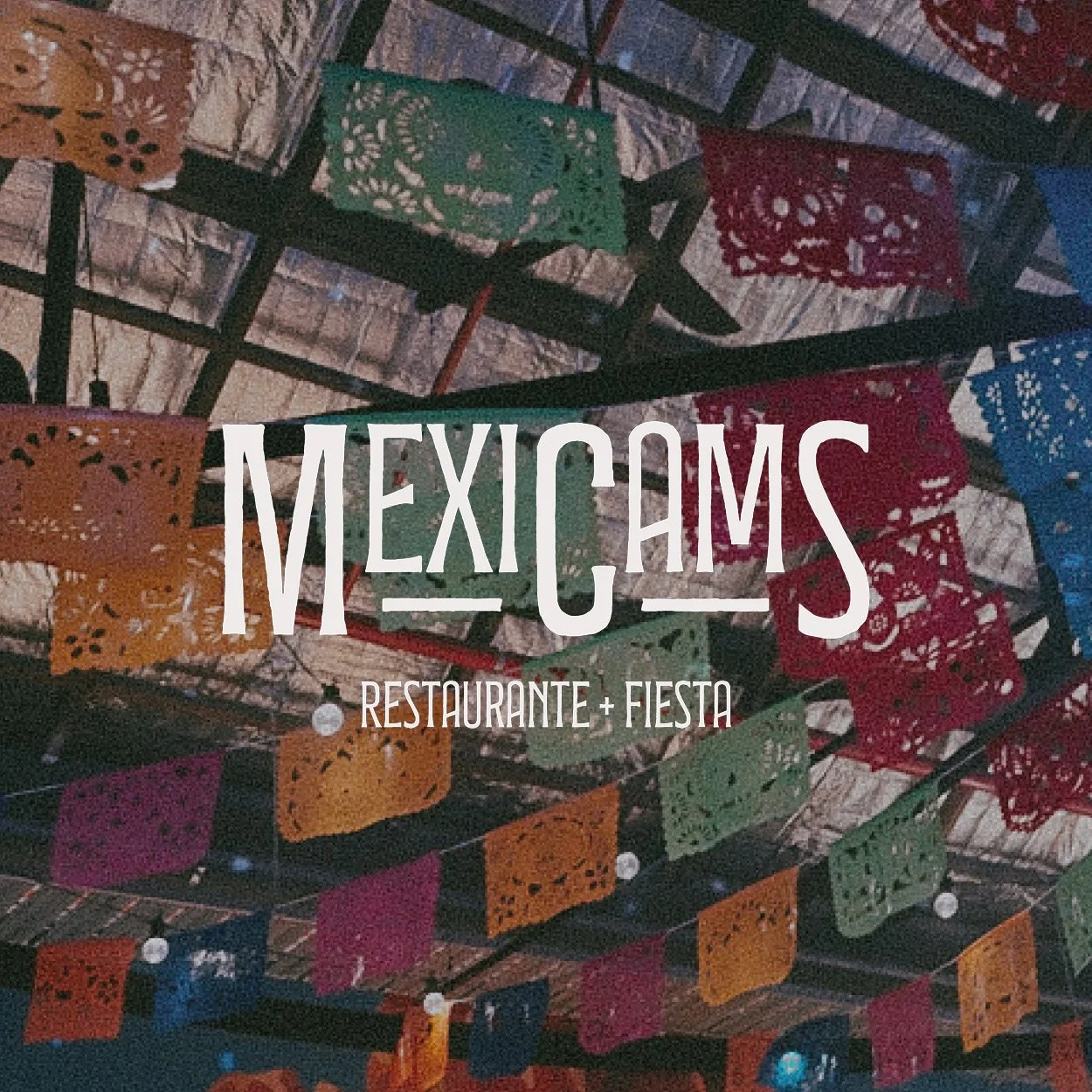 Mexicams-brand.jpg