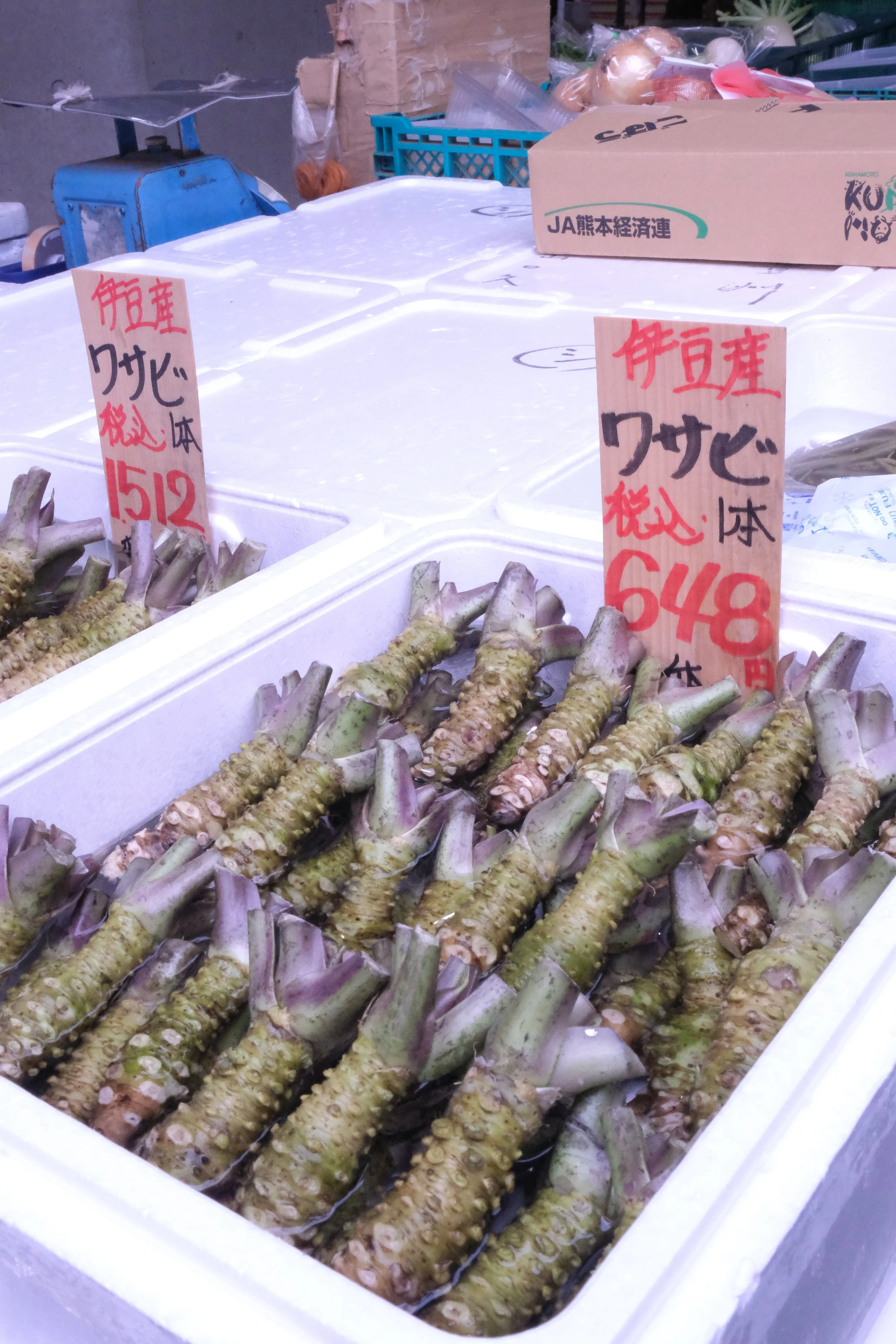 DSCF0391.JPG