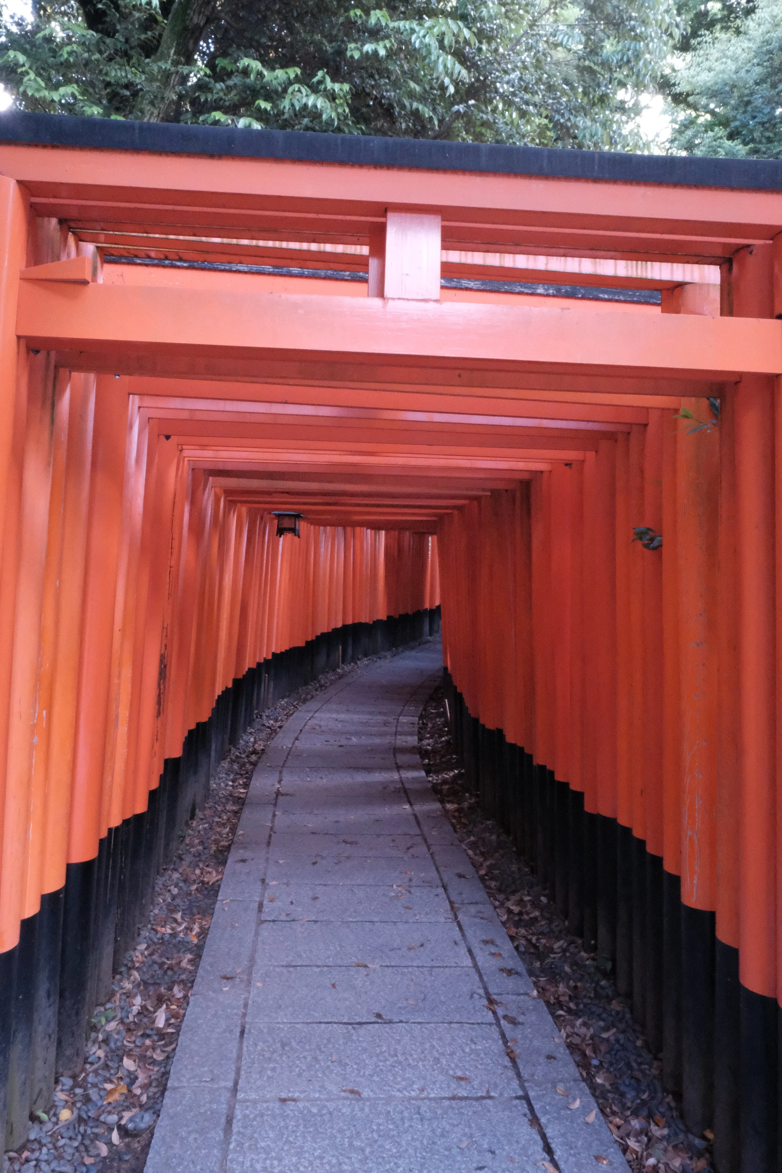DSCF0490.JPG