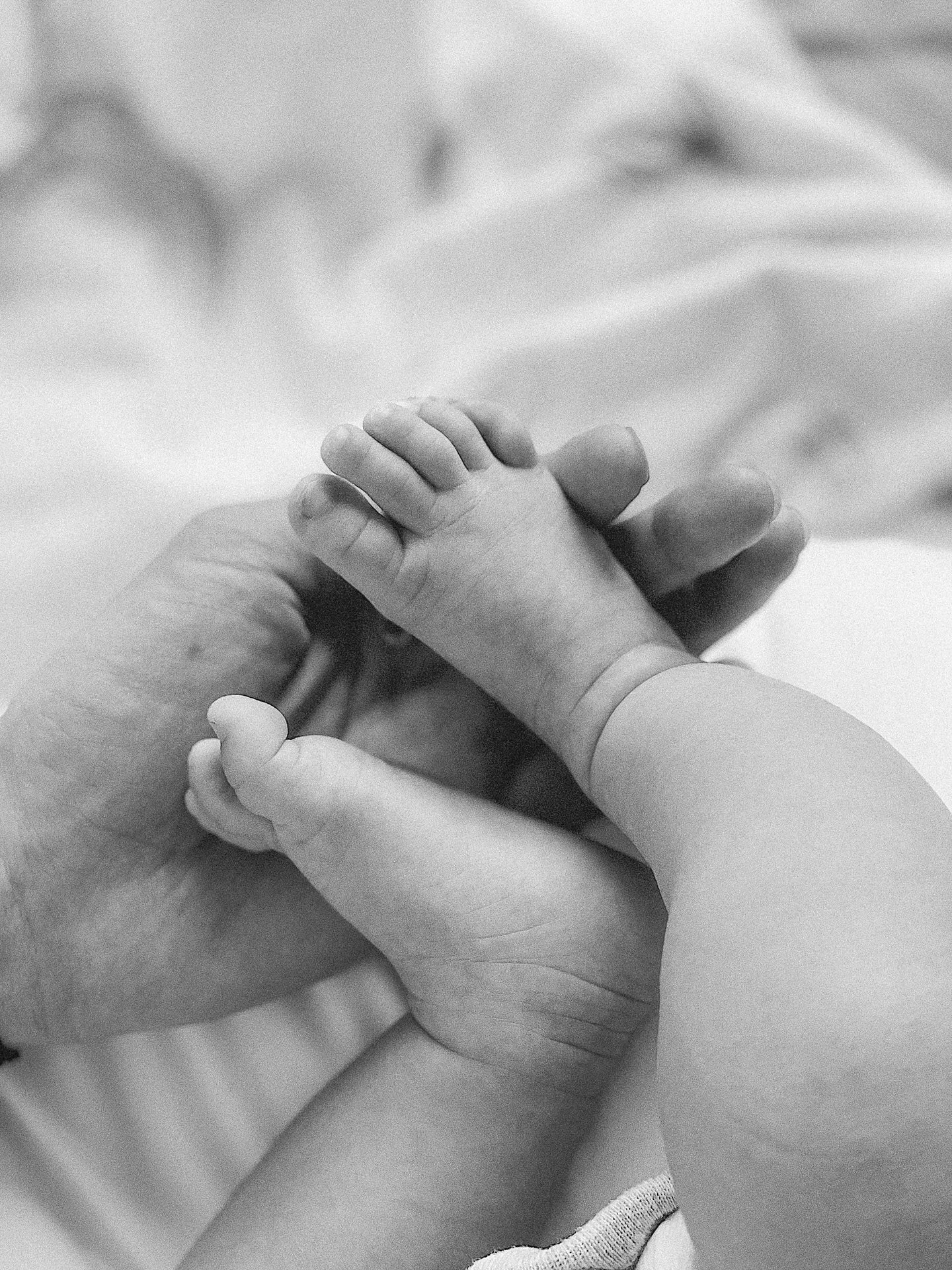 Soft light, gentle hands, tender connections. 
Those fleeting, magical first days 🕊️
Moments you&rsquo;ll never outgrow, captured timelessly 🤍

#filmphotography #fineartphotography #bayareafilmphotographer #newbornphotography #bayareanewbornphotogr