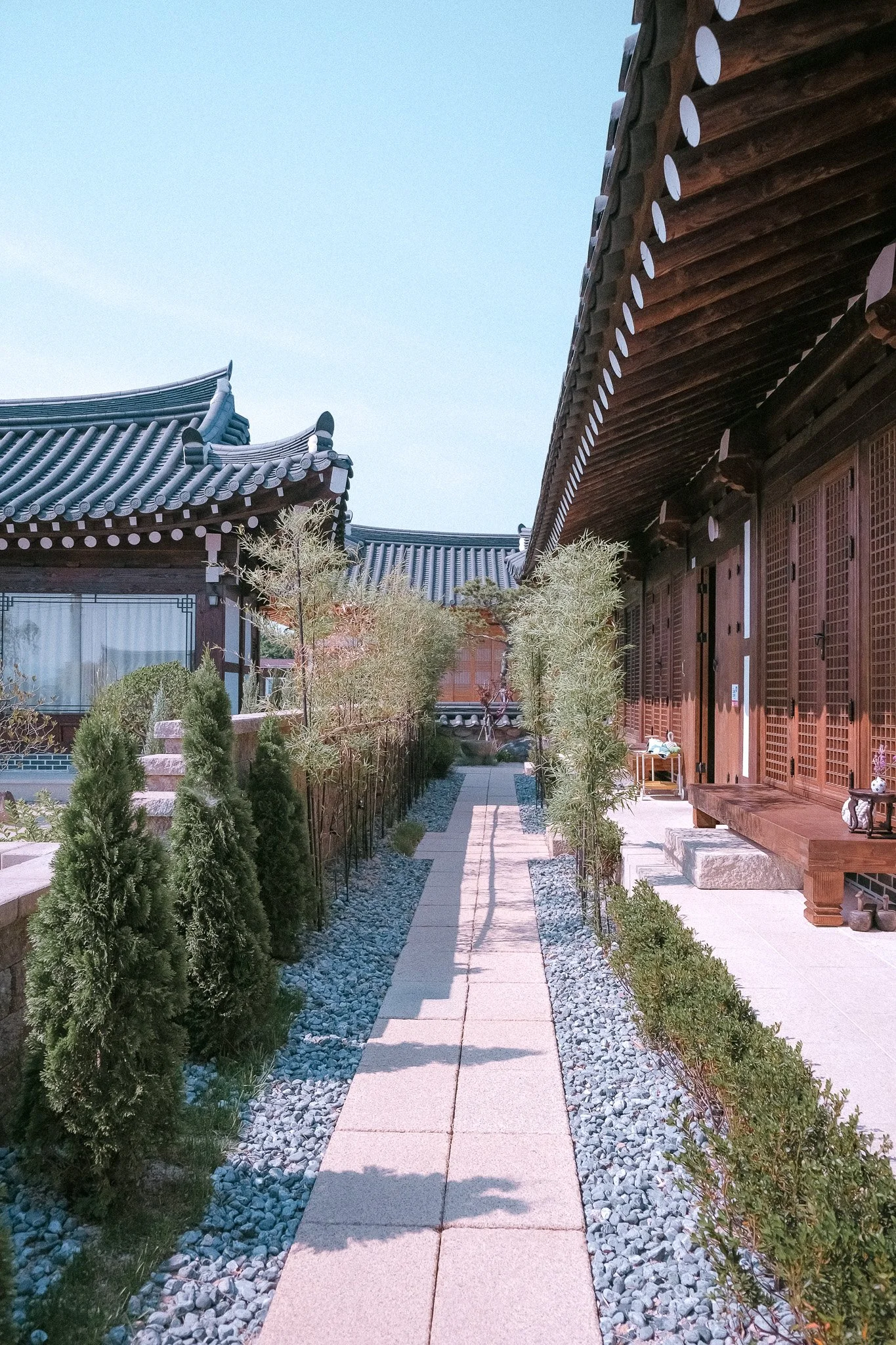 A traditional Japanese-style courtyard with stone pathway, small trees, and wooden buildings with tiled roofs.