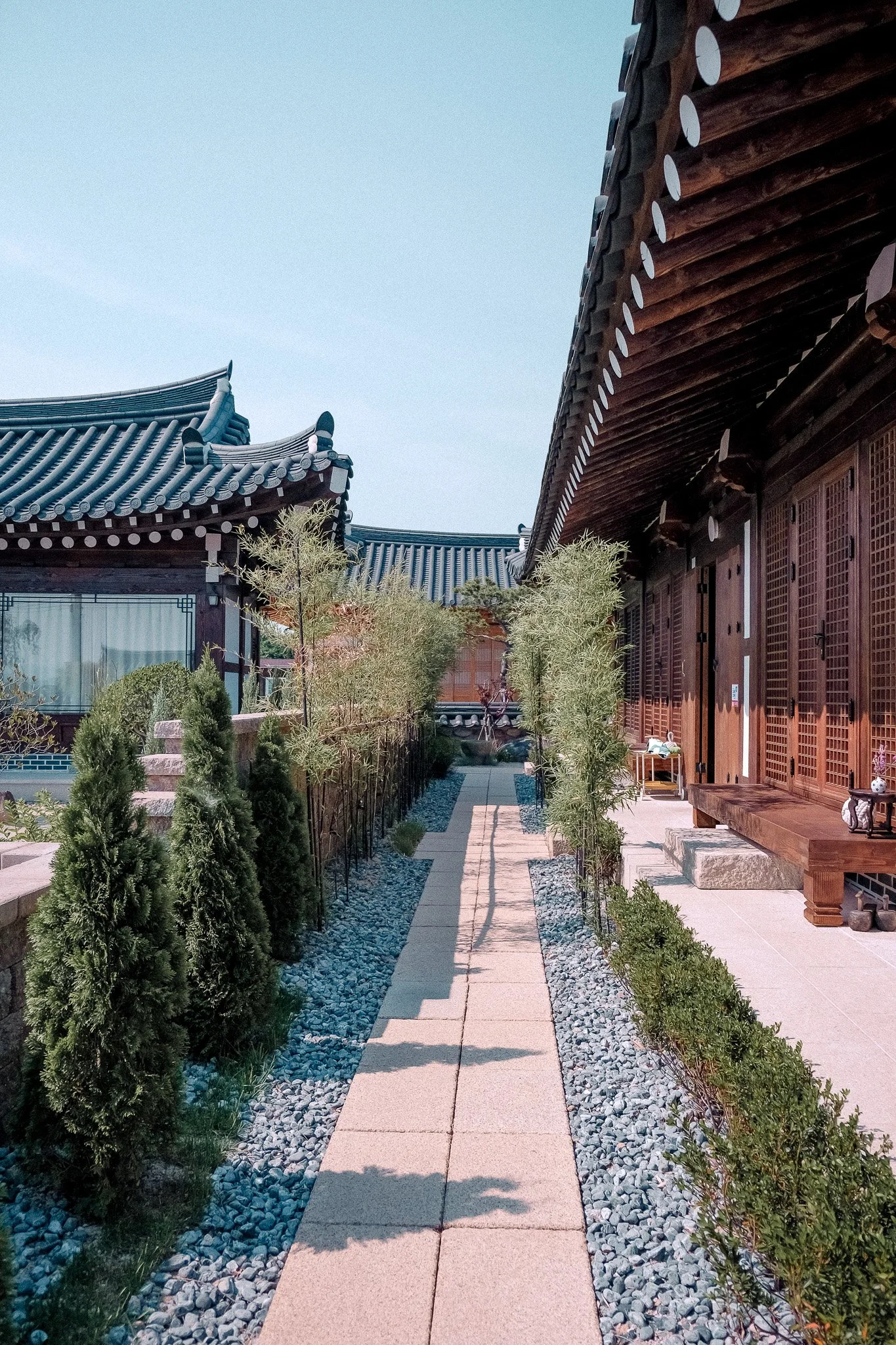 DSCF1065-4.jpg