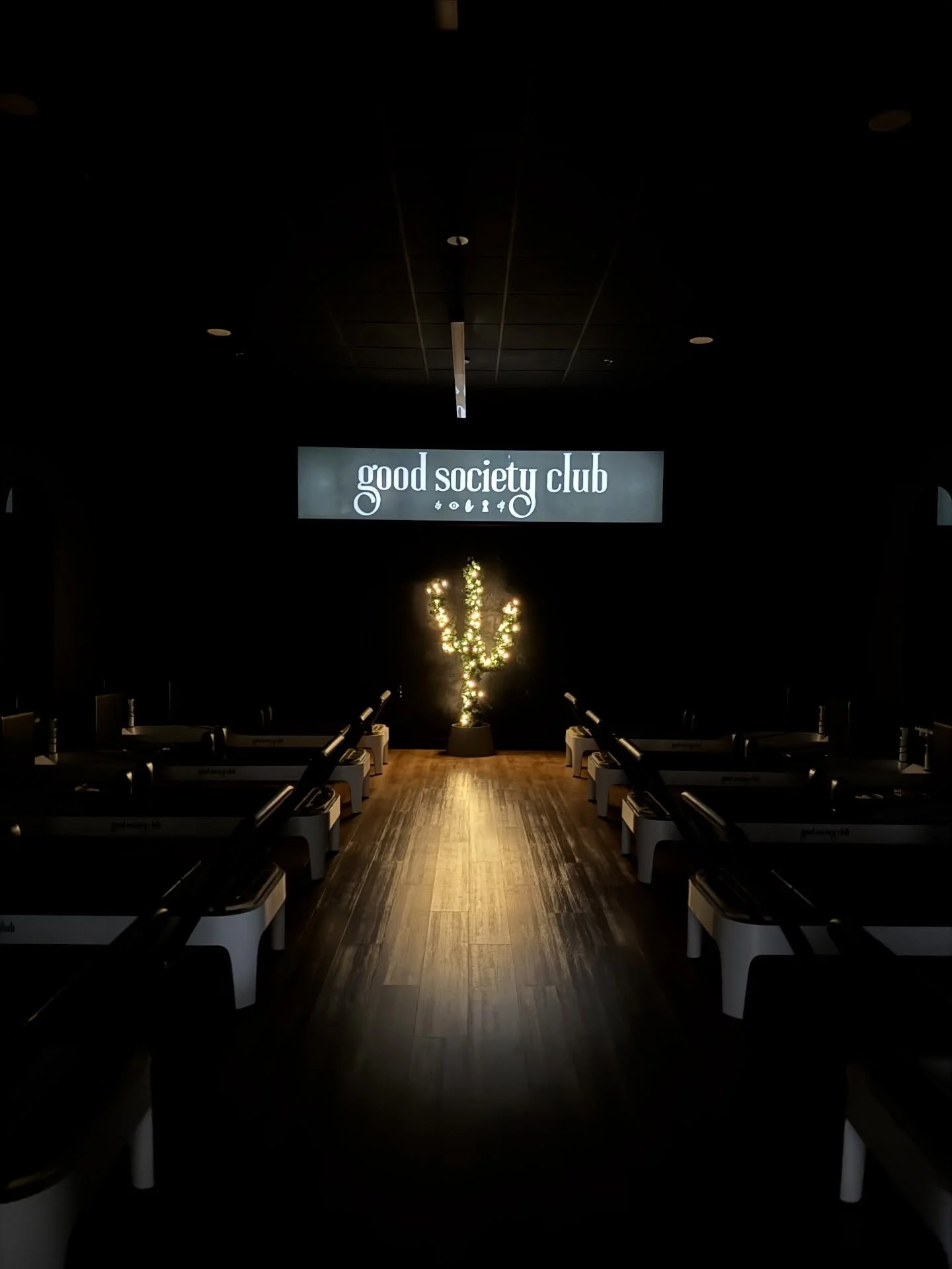 A California Christmas 🎄 🌵