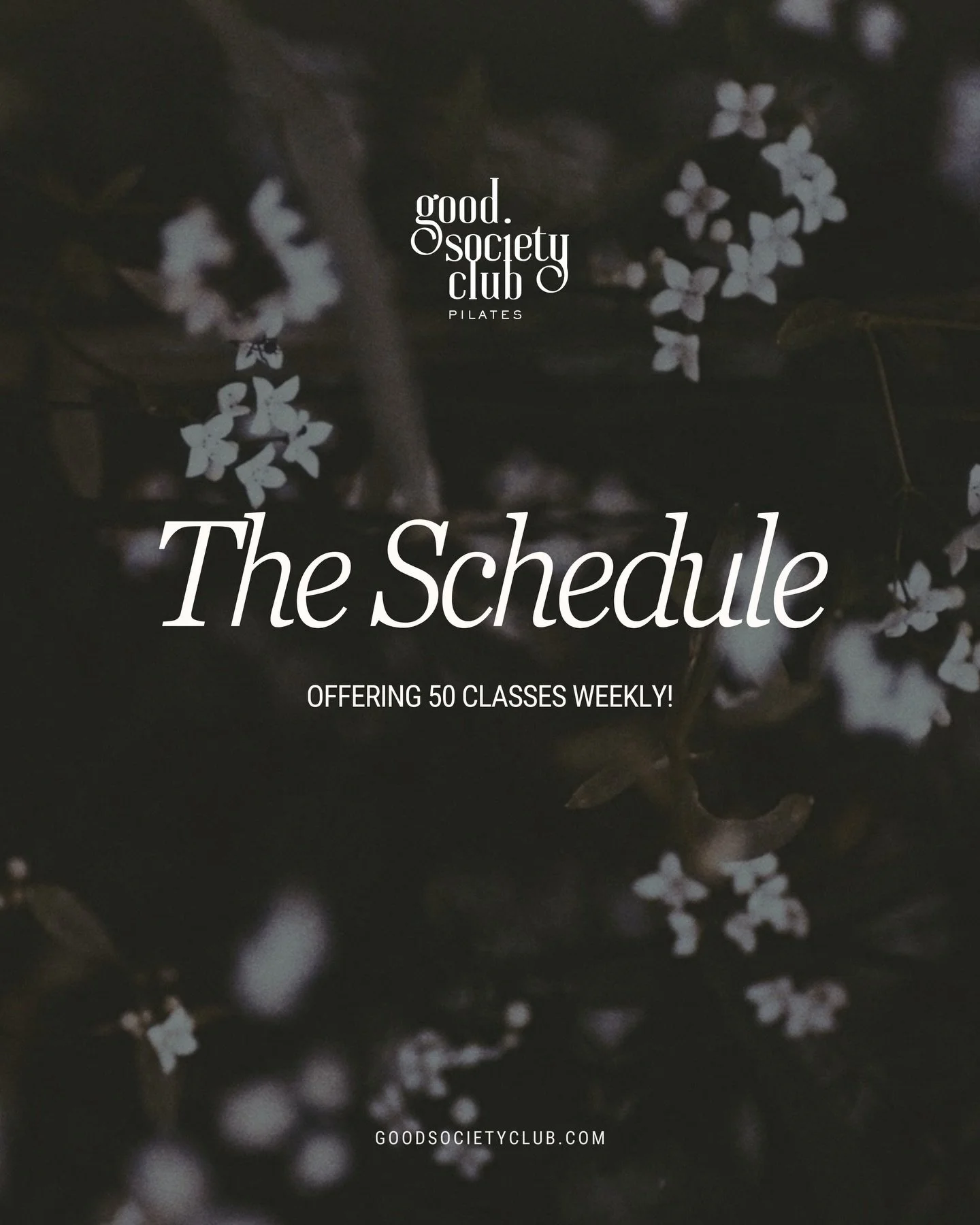 Now offering 50 classes weekly! 😮&zwj;💨 
We&rsquo;ve got that heated, candlelit, heart pumping Pilates experience you won&rsquo;t want to miss - hop on the schedule now to preregister! ⚡️

Let&rsquo;s be friends!
Newbies: 3 classes for $69 or 14 da