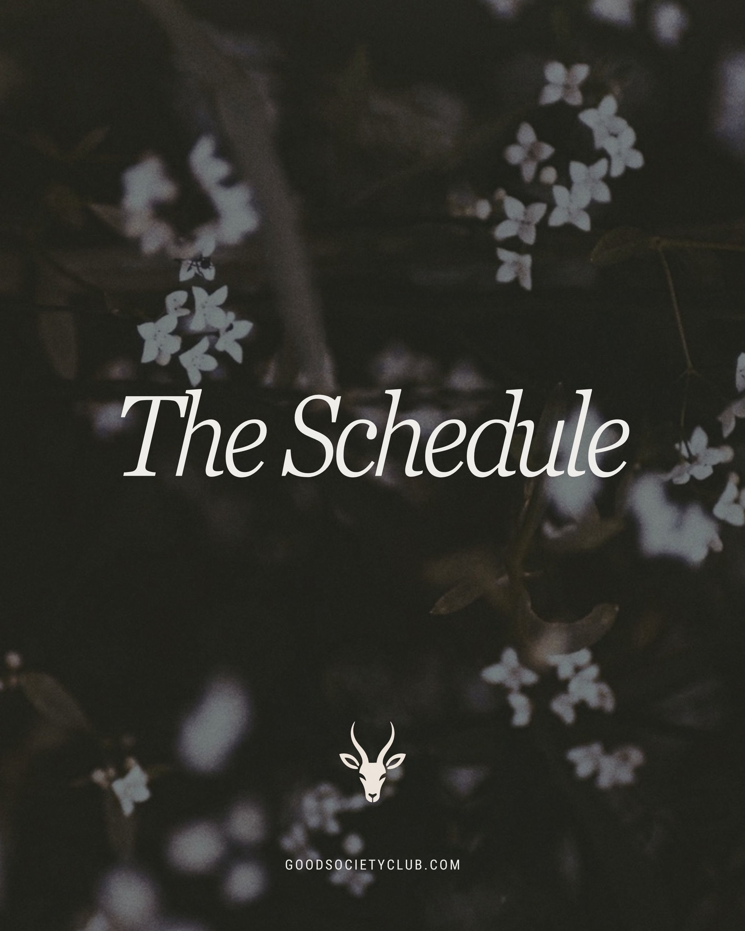 The Society is waiting. 🖤

50 heated Reformer Pilates classes every week.

Morning crew. Lunch crew. After work crew.
Candlelit. Sculpt. Stretch. Strength.

High heat. Good music. Better people.

Whether it&rsquo;s your first class or your hundredth