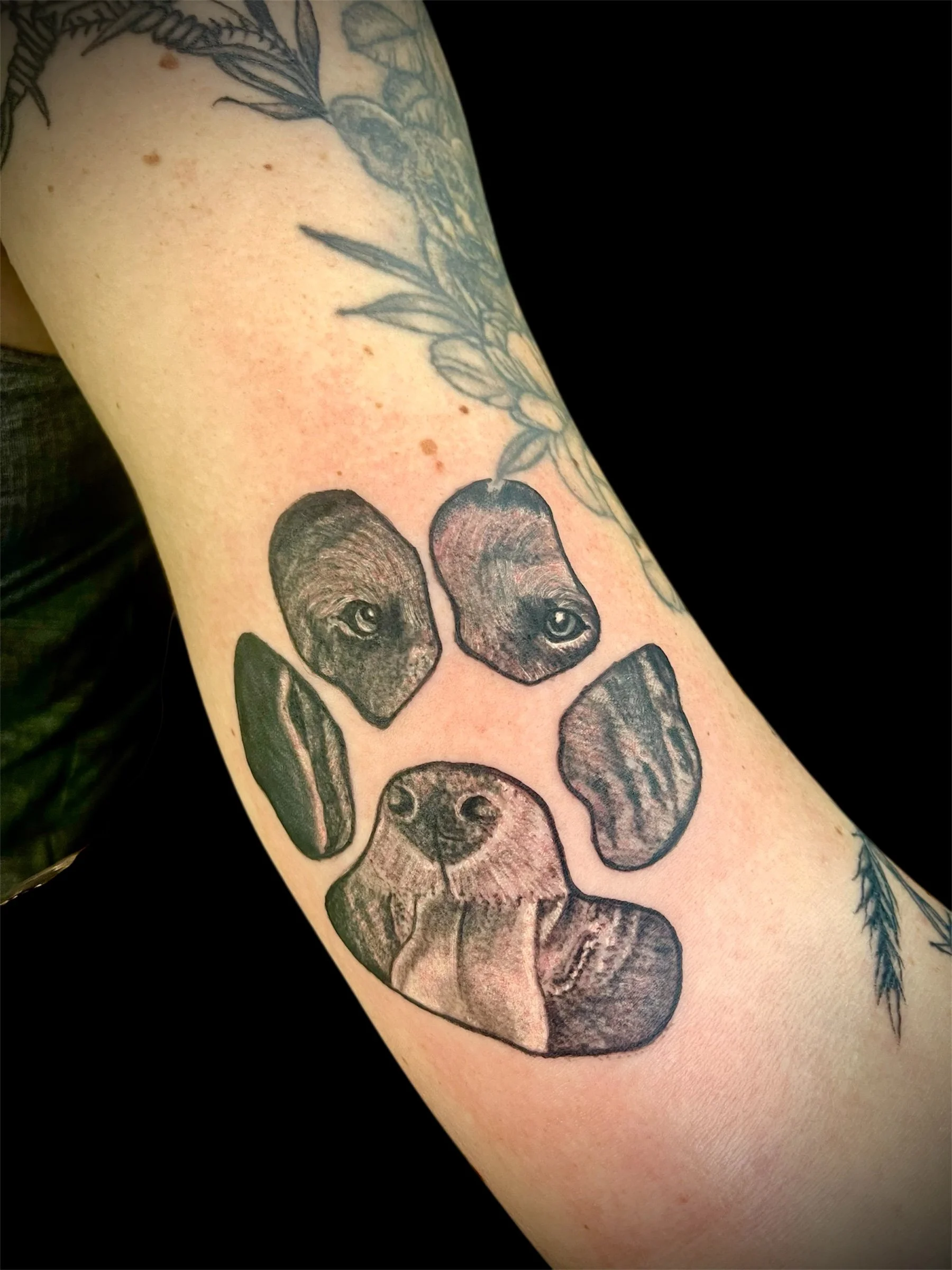 Photo Feb 05 2026, 10 10 49 PM (12).jpg