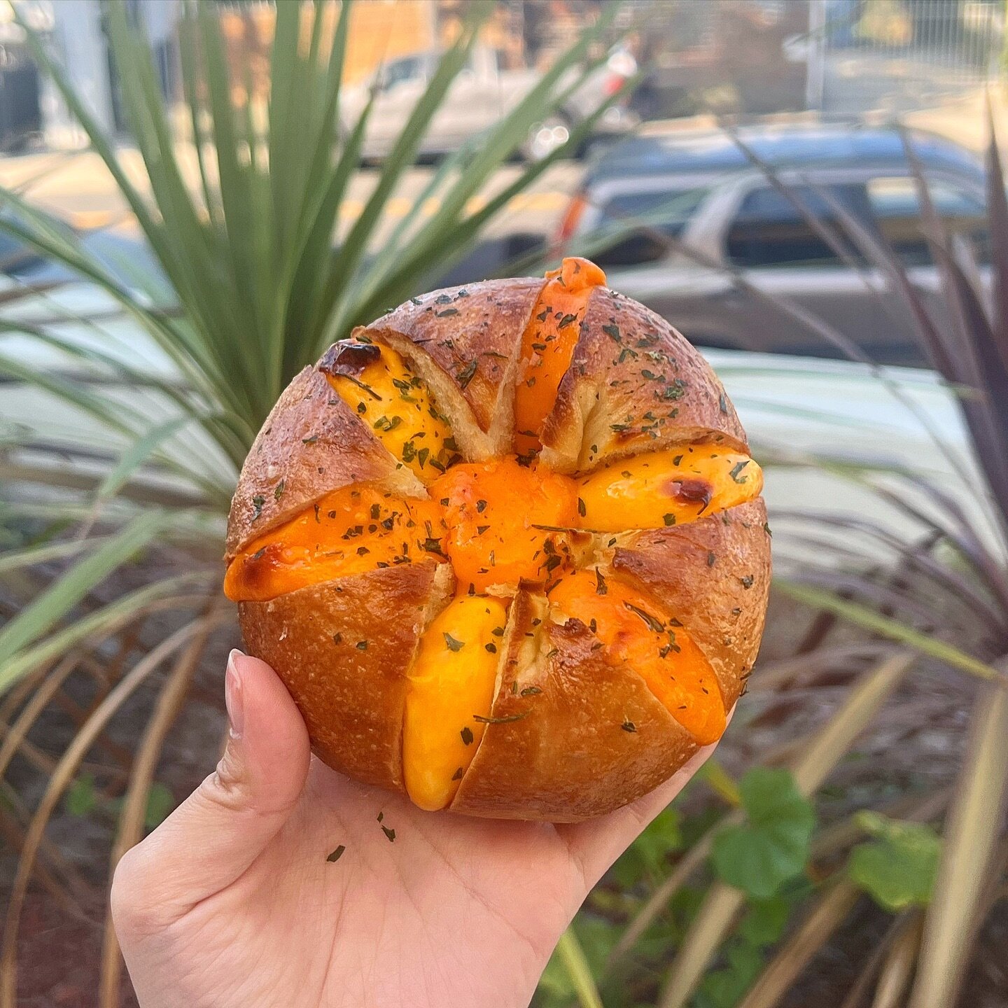 No it&rsquo;s not a #pumpkin - it&rsquo;s our new Cheddar Cheese filled crunchy chewy hand-rolled bagels 🧀 preorder 6 pack box #yummy treats perfect for this #halloween week 🎃 - LINK in BIO 🎁 .
_____
#giveaway winners now announced on our story 🗞