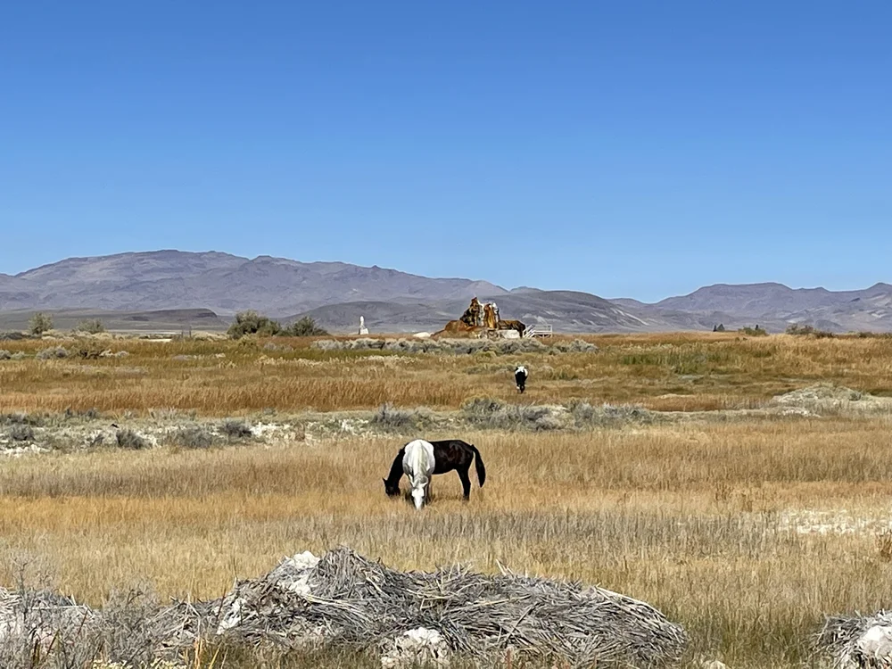 Fly Ranch — Friends of Black Rock-High Rock