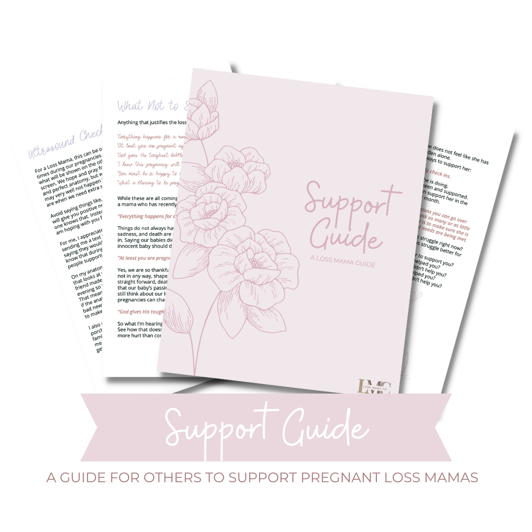 Support Guide Mock Up.png