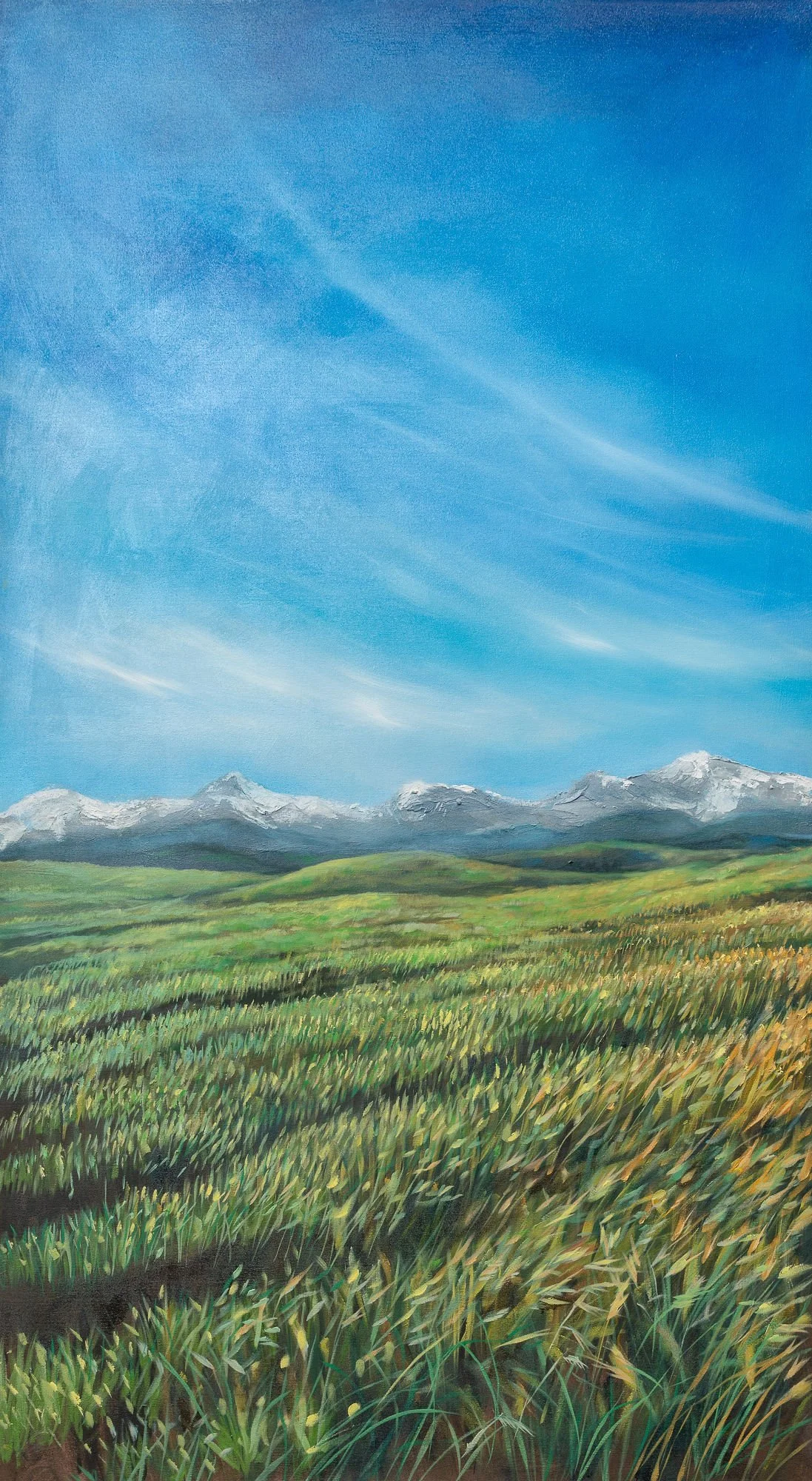 Foothills Spring.jpg