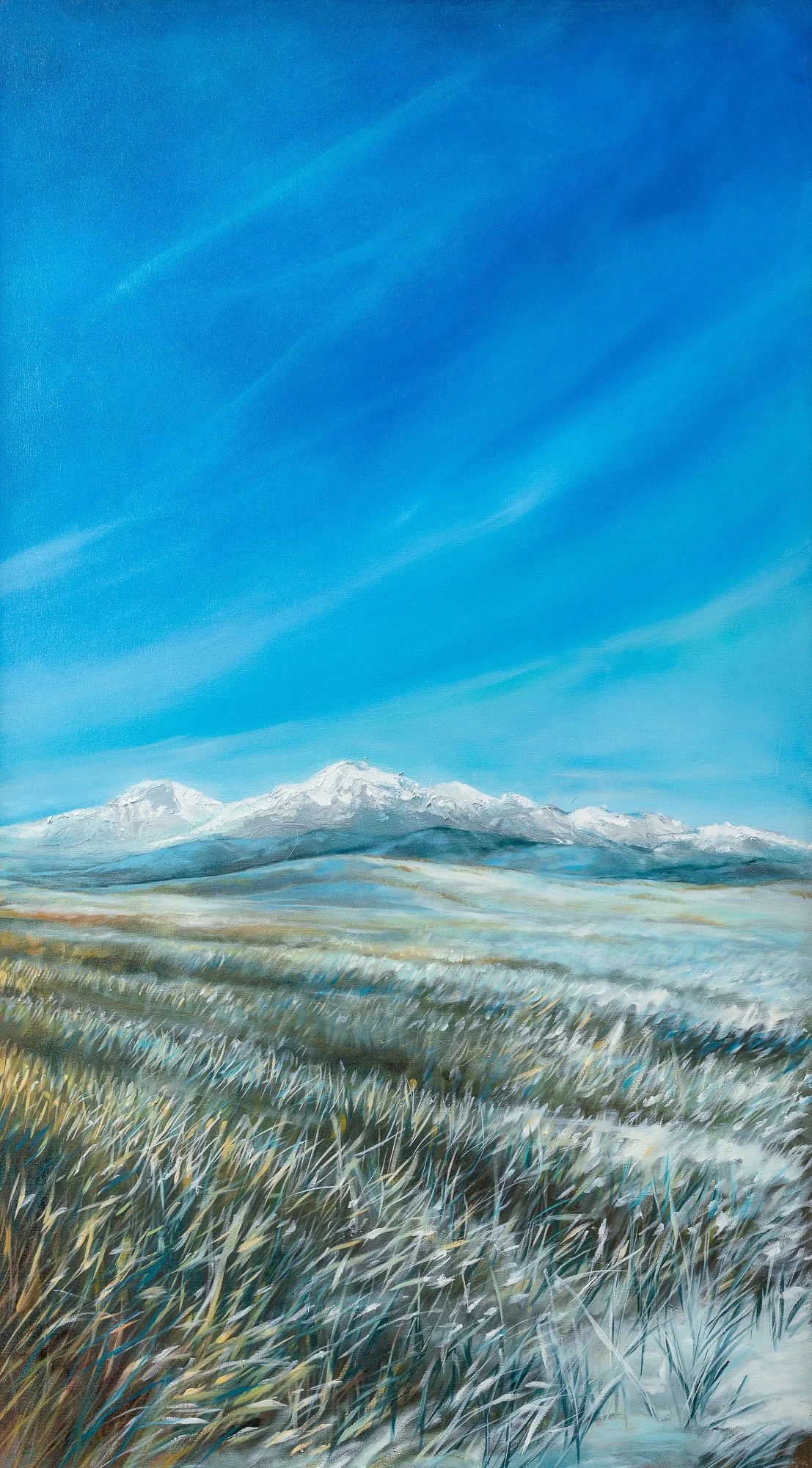 Foothills Winter.jpg