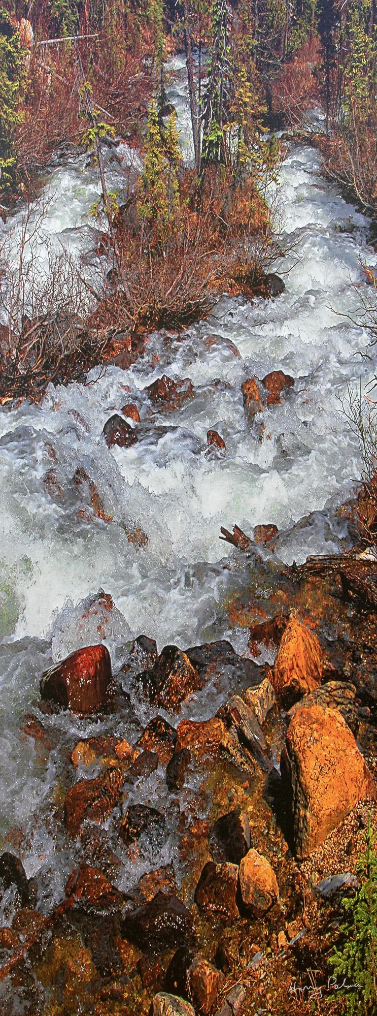 Tallpec Paradise Creek.jpg