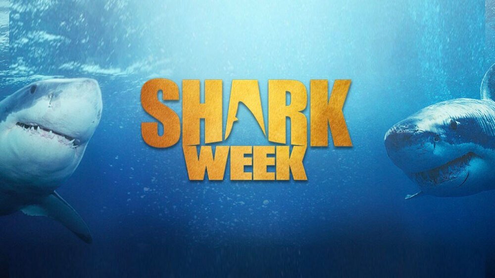 shark-week_402x.jpg