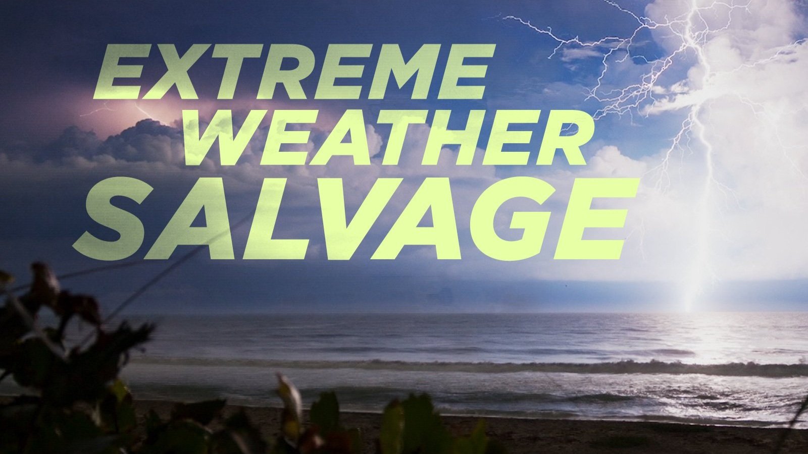 Extreme+weather+salvage.jpg