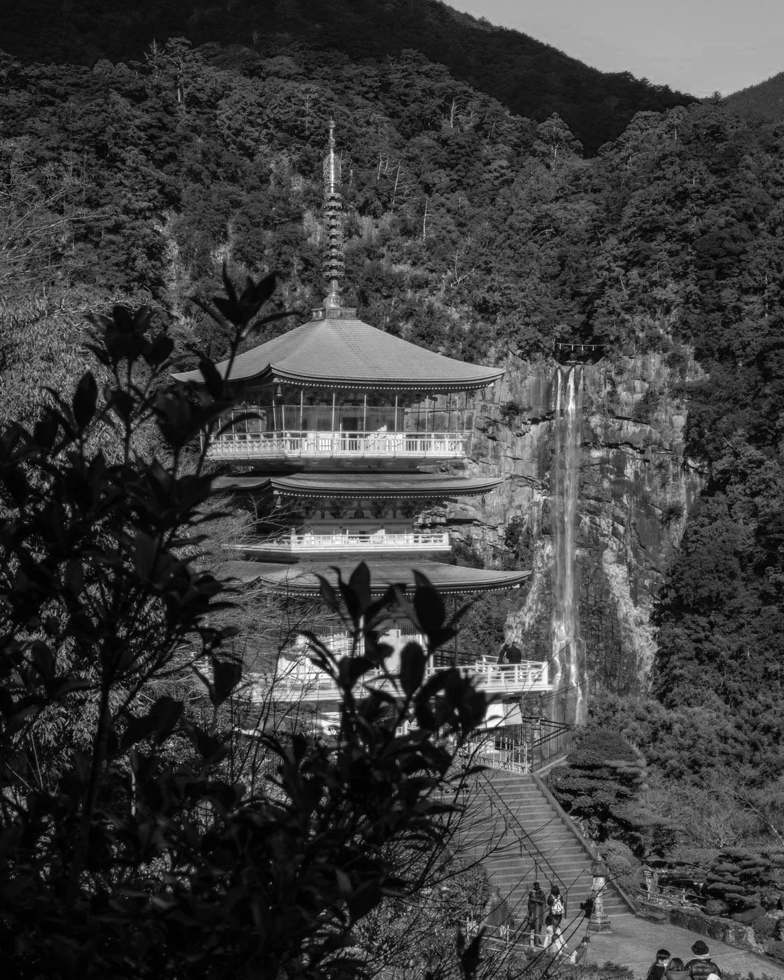 S__8192144.jpg