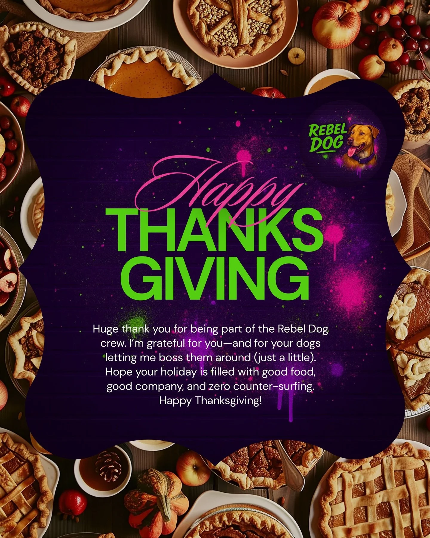 Rebel Dog wants to wish you a Happy Thanksgiving! 🧡

Thankful for your trust, your dedication, and your amazing pups who always keep things interesting.

Enjoy the feast&mdash;just remember, your dog is watching&hellip; closely. 

#RebelDogTraining 