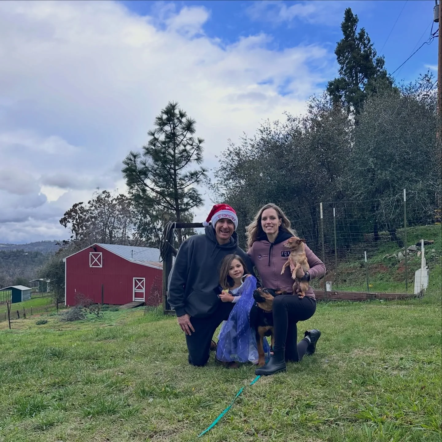 Merry Christmas from Rebel Dog!

This season, we&rsquo;re feeling incredibly grateful&mdash;for the dogs who challenge us, the families who trust us, and the journey we get to walk together every single day. From first sessions to major breakthroughs