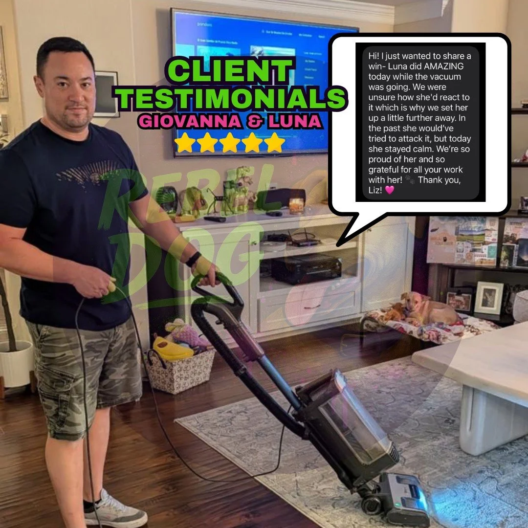 Say it louder for the people in the back 🗣️🐾

Luna used to see the vacuum as her mortal enemy.
Today? Calm. Composed. Unbothered.

That&rsquo;s not &ldquo;she grew out of it.&rdquo;
That&rsquo;s structure. Clear guidance. And reps done right.

Huge