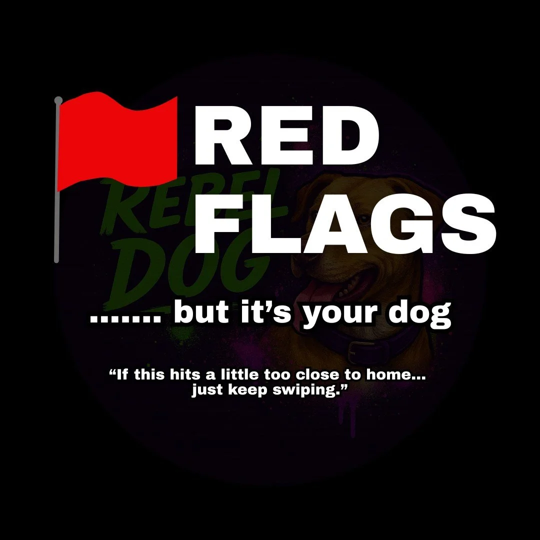 If you laughed&hellip; and then felt slightly attacked&hellip; we should talk. 😌

Your dog isn&rsquo;t &ldquo;dominant.&rdquo;
They&rsquo;re filling a leadership gap.

When expectations are unclear, dogs step up.
And that usually looks like chaos.

