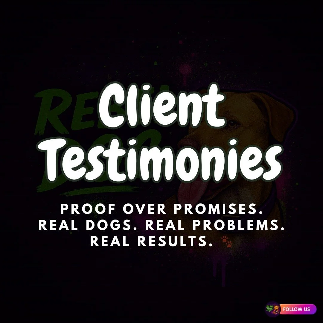 This is why we do it.

Not for likes. Not for views.
But for moments like this&mdash;when everything finally clicks.

From chaos, stress, and frustration&hellip;
to calm, control, and confidence.

Same dog. Same owner.
Just a different level of under