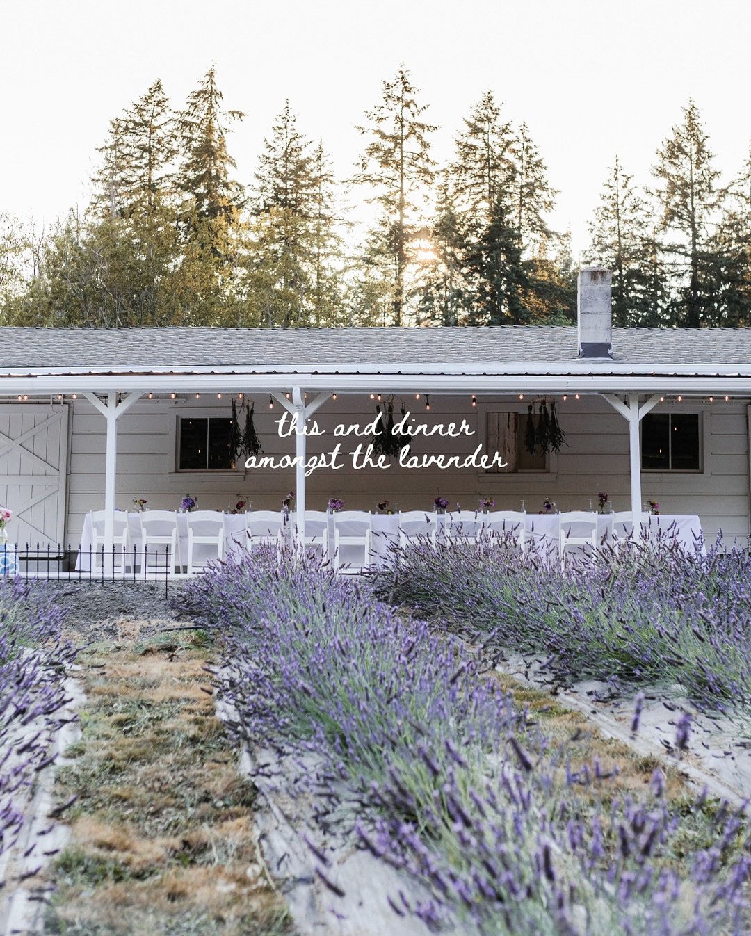 This and a chilled lavender spritz at golden hour. This and a long table in the field. This and a night you’ll want to linger in.
Join us on June 21 for our Summer Solstice Dinner. You’ll experience
🌿 A guided walk through the lavender