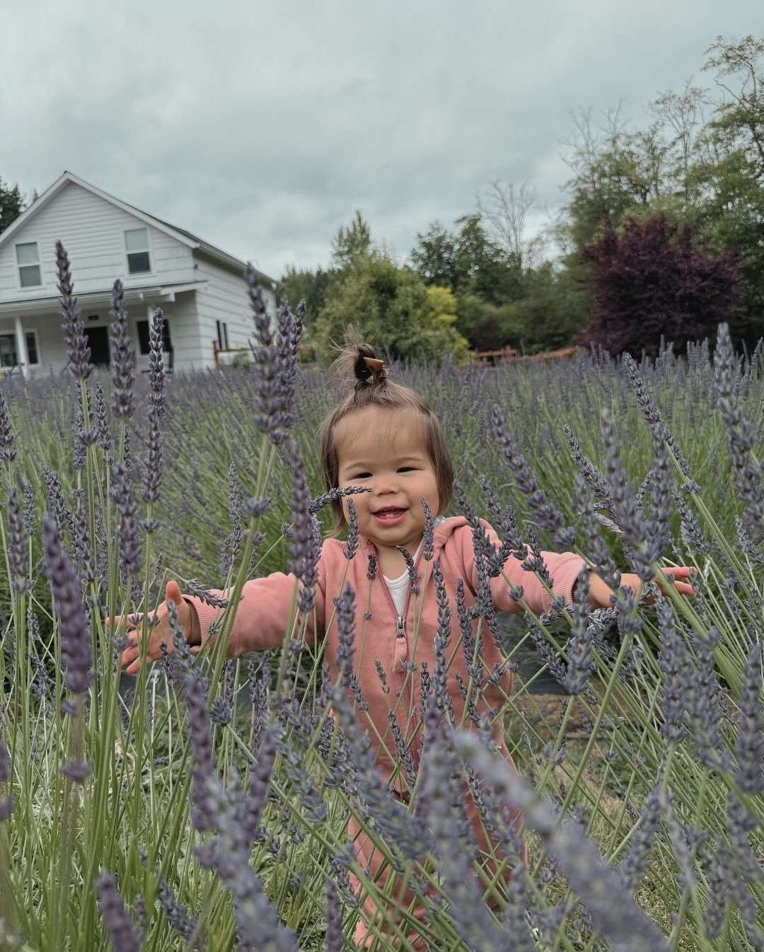 Something special happens when you have the farm to yourself.
We’re now offering private family tours at Bluetree, slow afternoons to explore the fields, forest, and garden at your own pace. A quiet walk through the lavender. A chance to learn