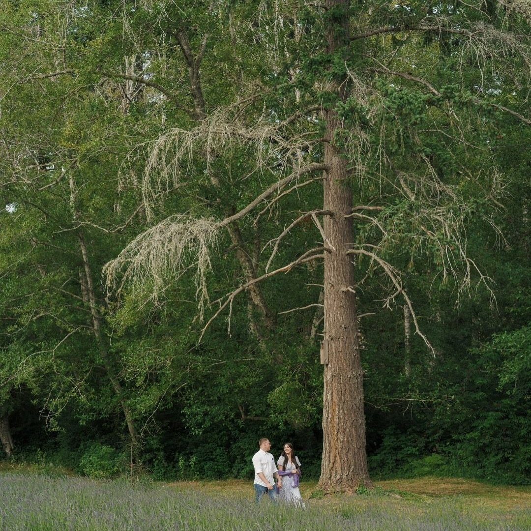 A field full of lavender, a table set for love, and one unforgettable congo line.
Savannah and Nolan celebrated their rehearsal dinner here at Bluetree farm and Forest, surrounded by the people they love most and the scent of lavender in full bloom.