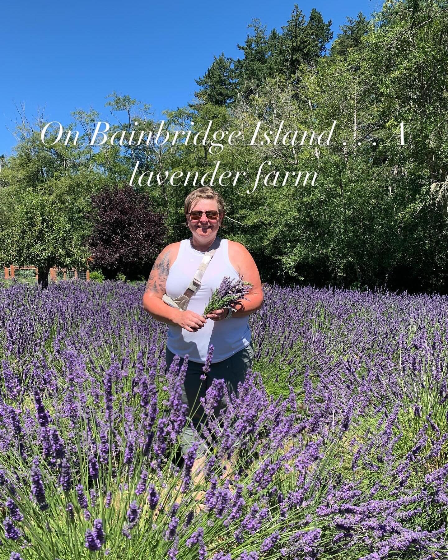 Nothing brings me more joy than seeing people out in the field, gently cutting lavender—fully present in that quiet connection with nature and community. It’s a beautiful moment, and it’s here, waiting for you too.
#bainbridgeevent