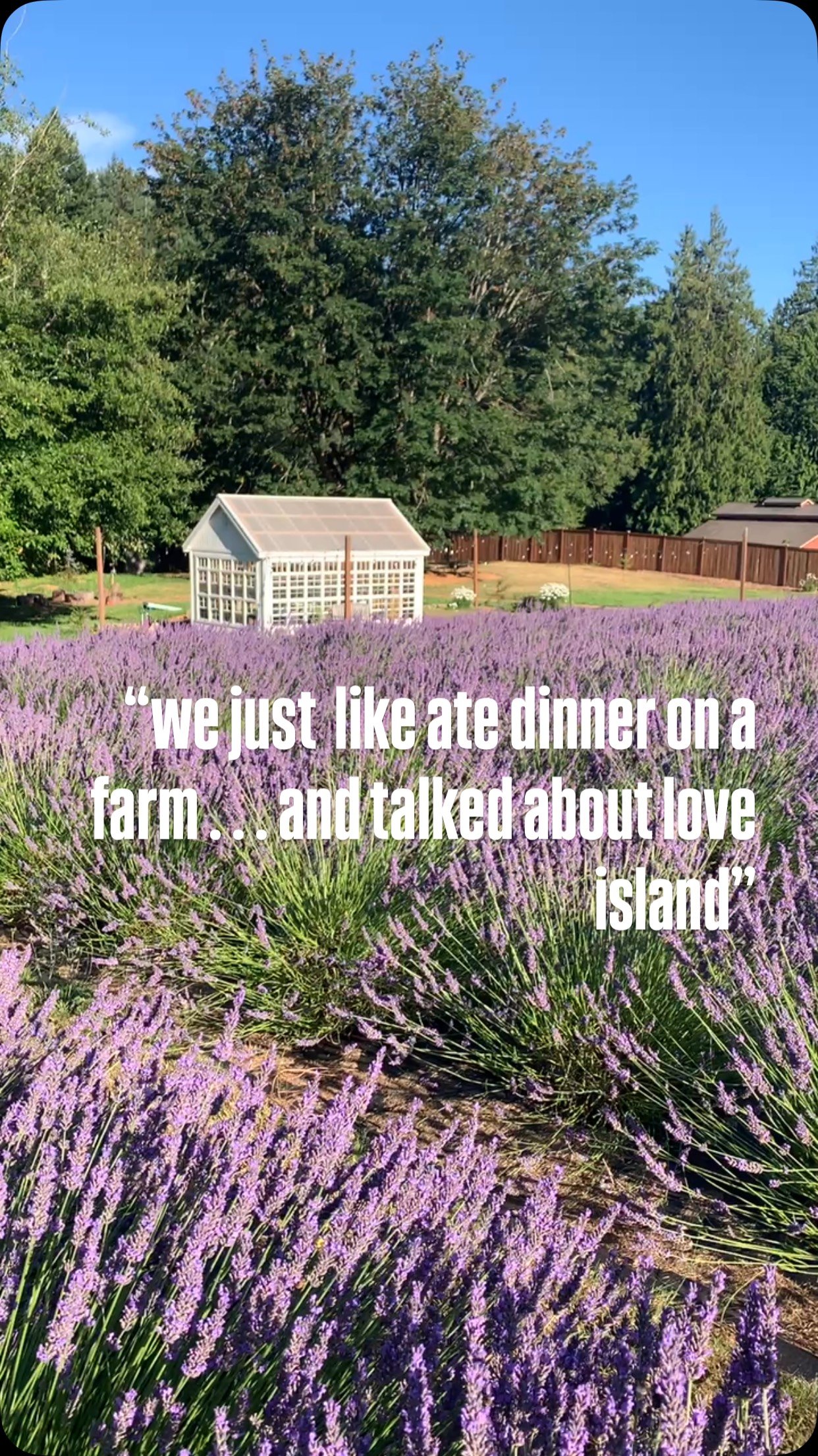 Dinner on a farm
🌿 On a lavender farm in bloom
Eating food
🌿 Chef prepared, farm grown cuisine
Talking about love island
🌿 Being in love on an island
A dream date waiting to happen ❤️
Link in the bio
#bainbridgeisland
#bluetreebainbridge