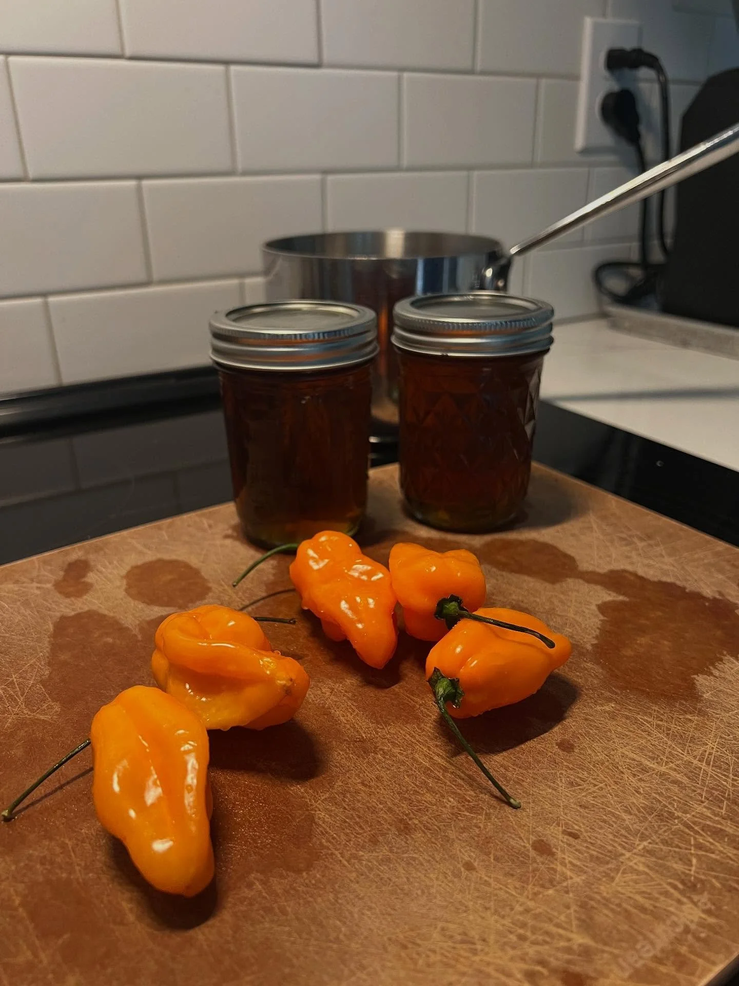 @blue_tree_bainbridge hot honey: a trial run. If it turns out, maybe we’ll offer some.