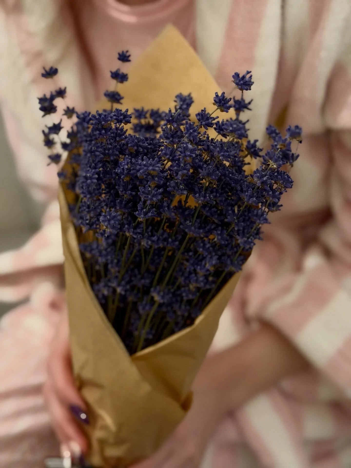 Even in winter, lavender holds its quiet sun drenched magic. 💜

We are easing into the season of love, thoughtful gifting and #lovelocal98110 . . . Valentines Day is coming.

#lavenderlove #wintercalm #farmlife #pnwfarm