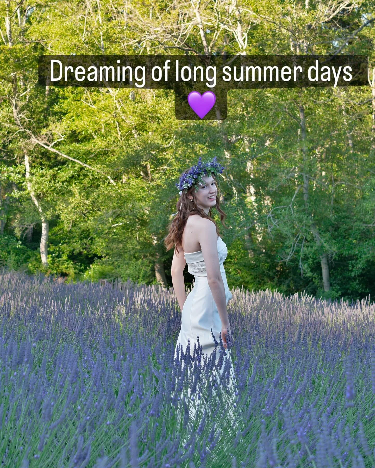 Dreaming of long summer days like me? Plan your summer visit to Bluetree Farm And Forest now - the link is in the bio.  #seattlelavenderfarm  #youpicklavender #visitbainbridgeislandwa  #visitkitsap