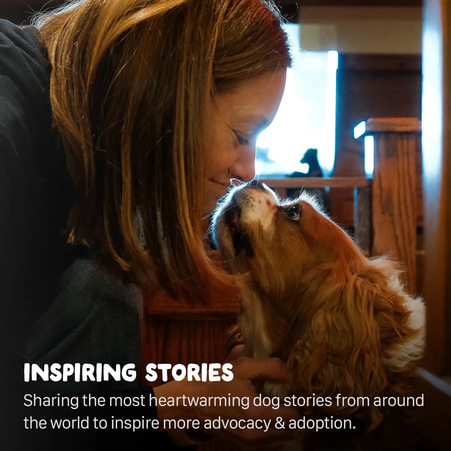 Inspiring Stories.jpg