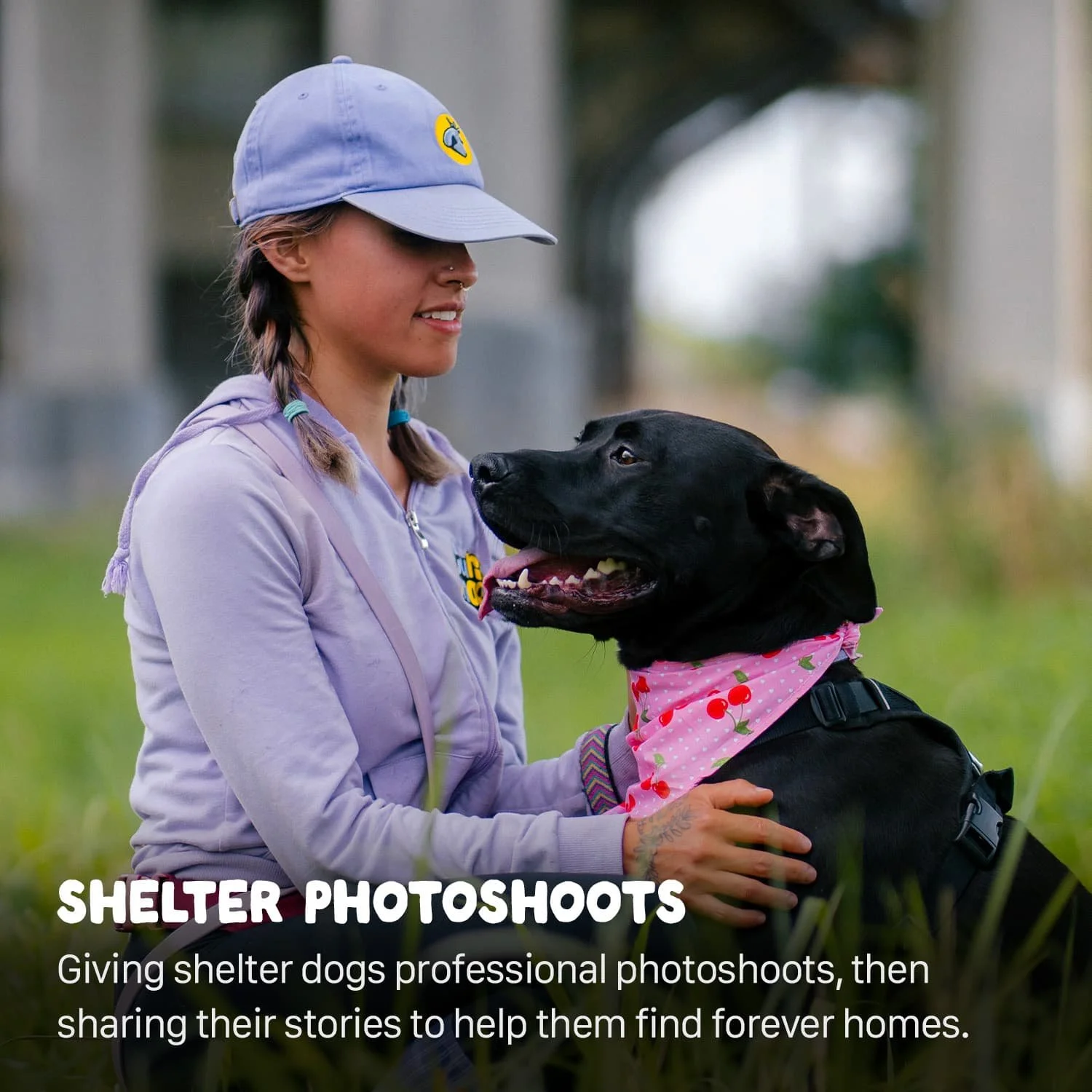 shelter photoshoots.jpg