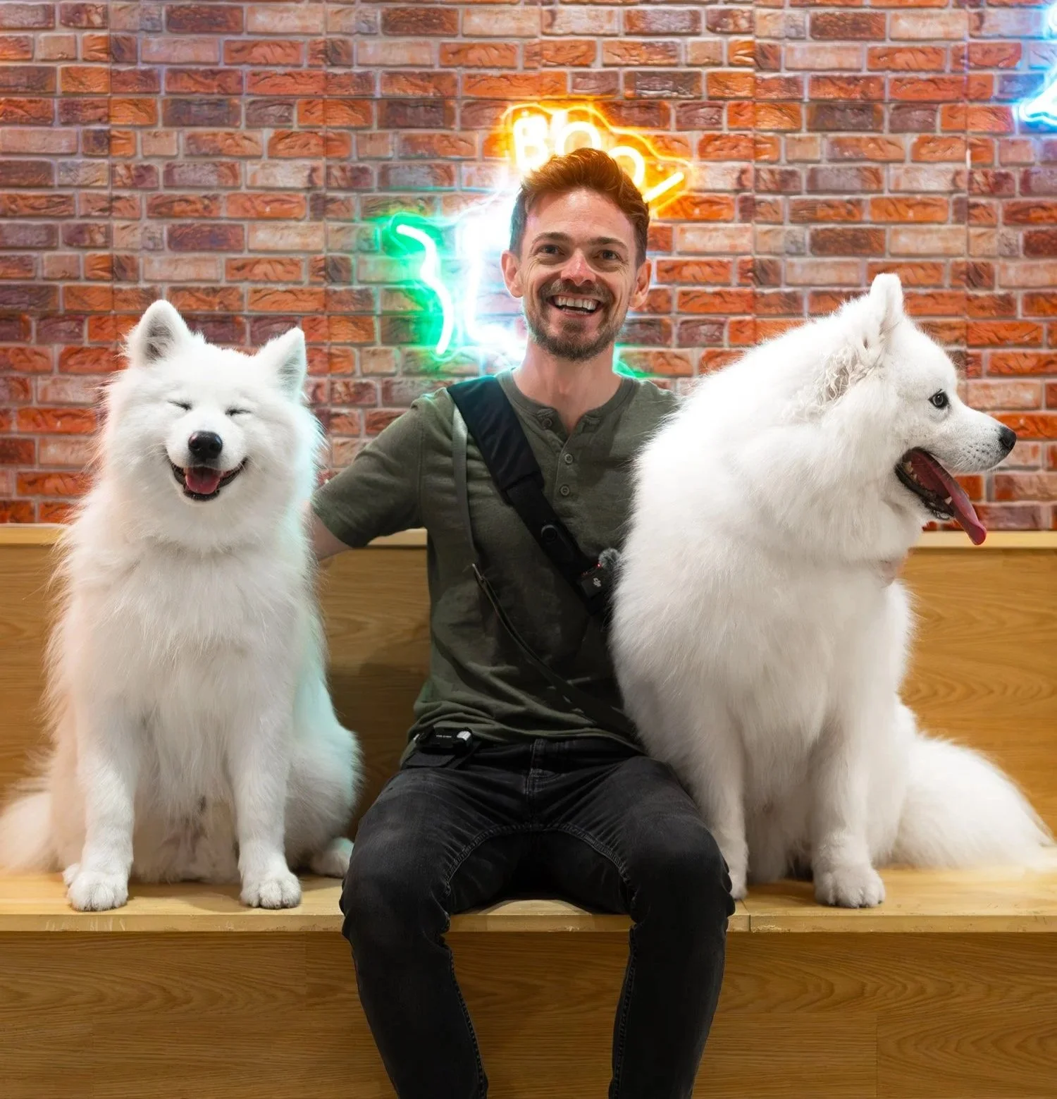 ⭐️ Dog Cafe.jpg