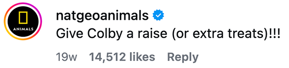 NatGeoAnimals - Justin Veenema