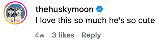 thehuskymoon - Justin Veenema