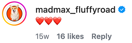 MadMax_FluffyRoad - Justin Veenema