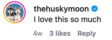 thehuskymoon - Justin Veenema