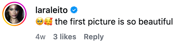 Laraleito - Justin Veenema