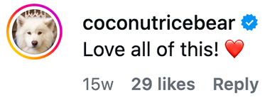 CoconutRiceBear - Justin Veenema