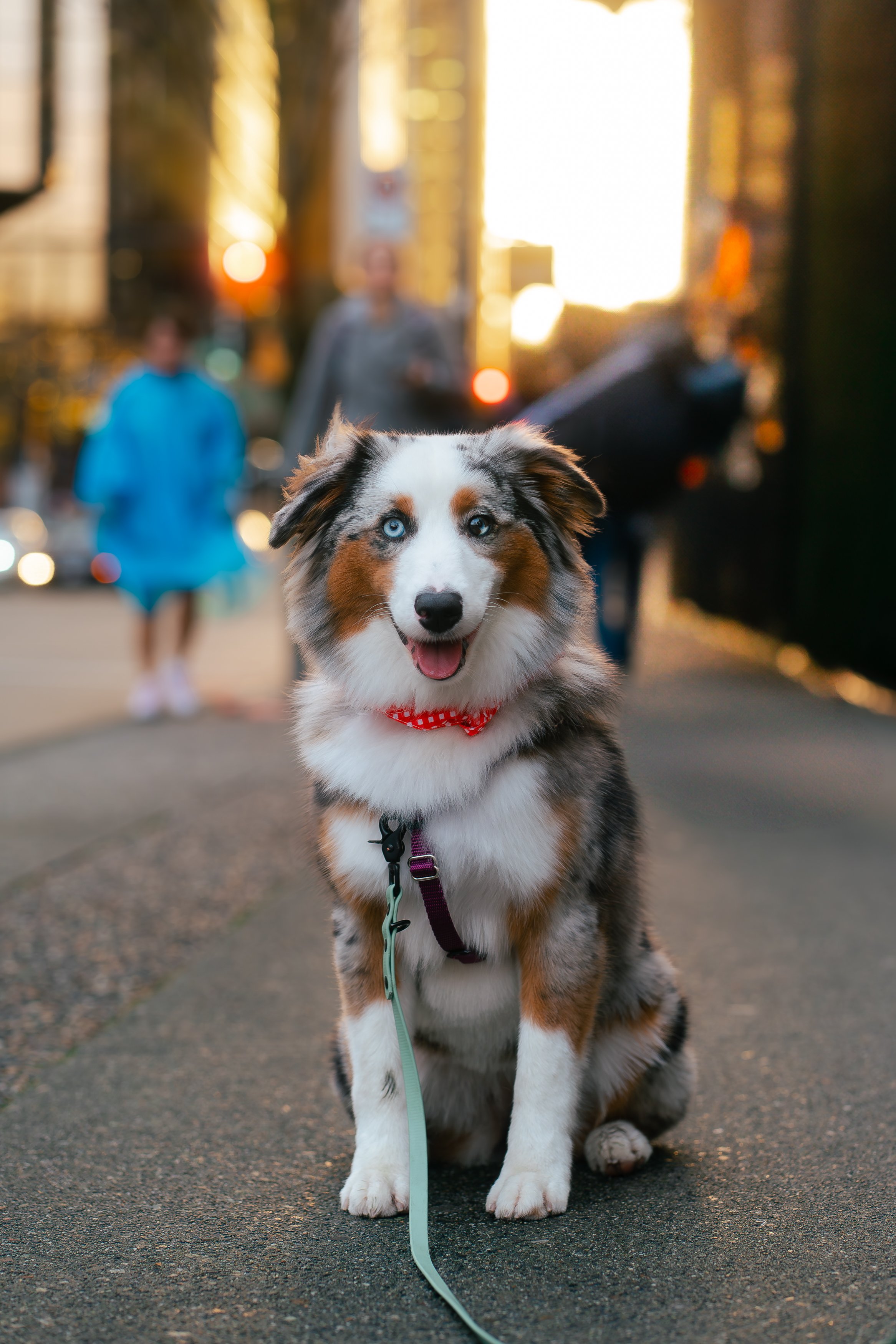 A7C01771-Enhanced-NR.jpg