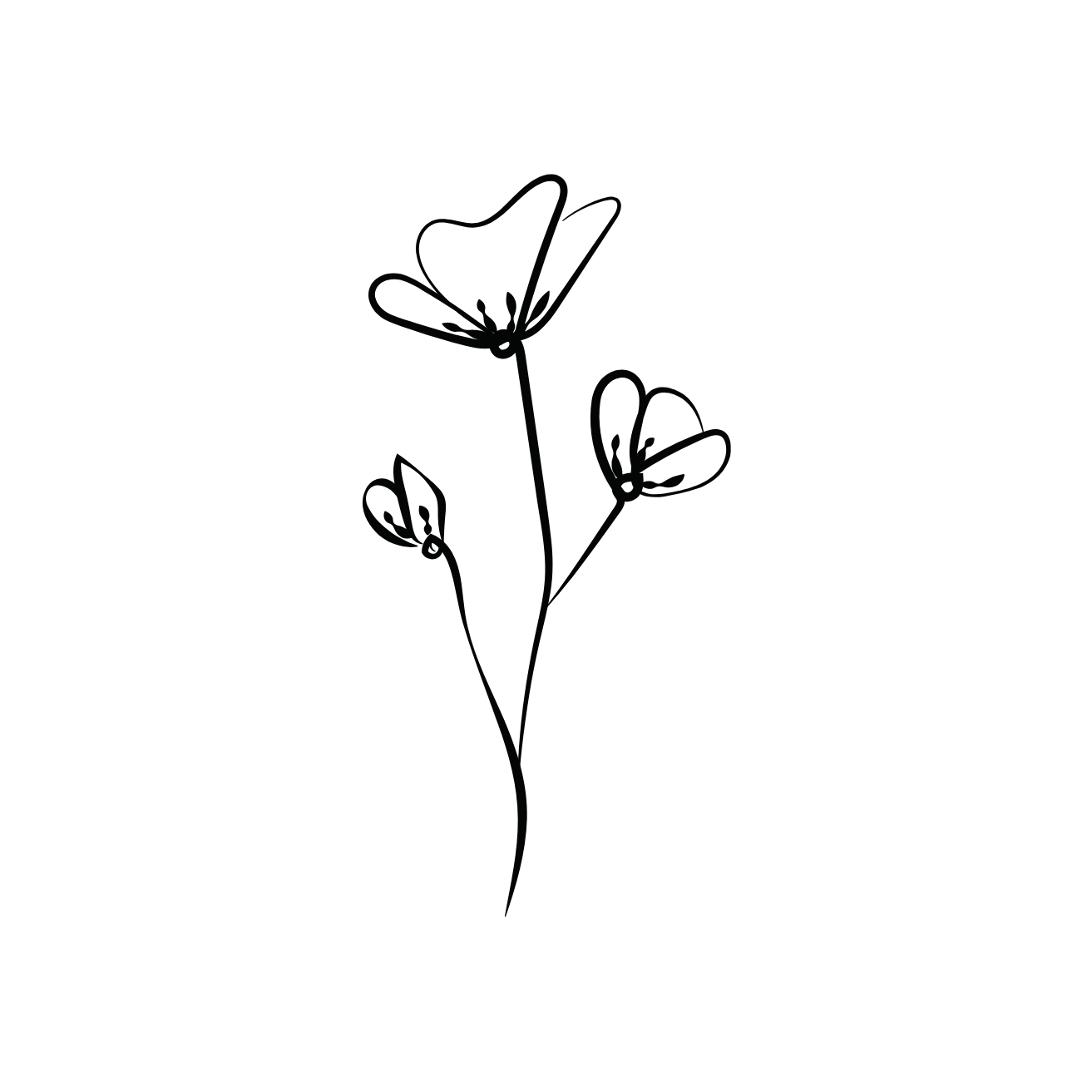 “More followers &amp; clients!”