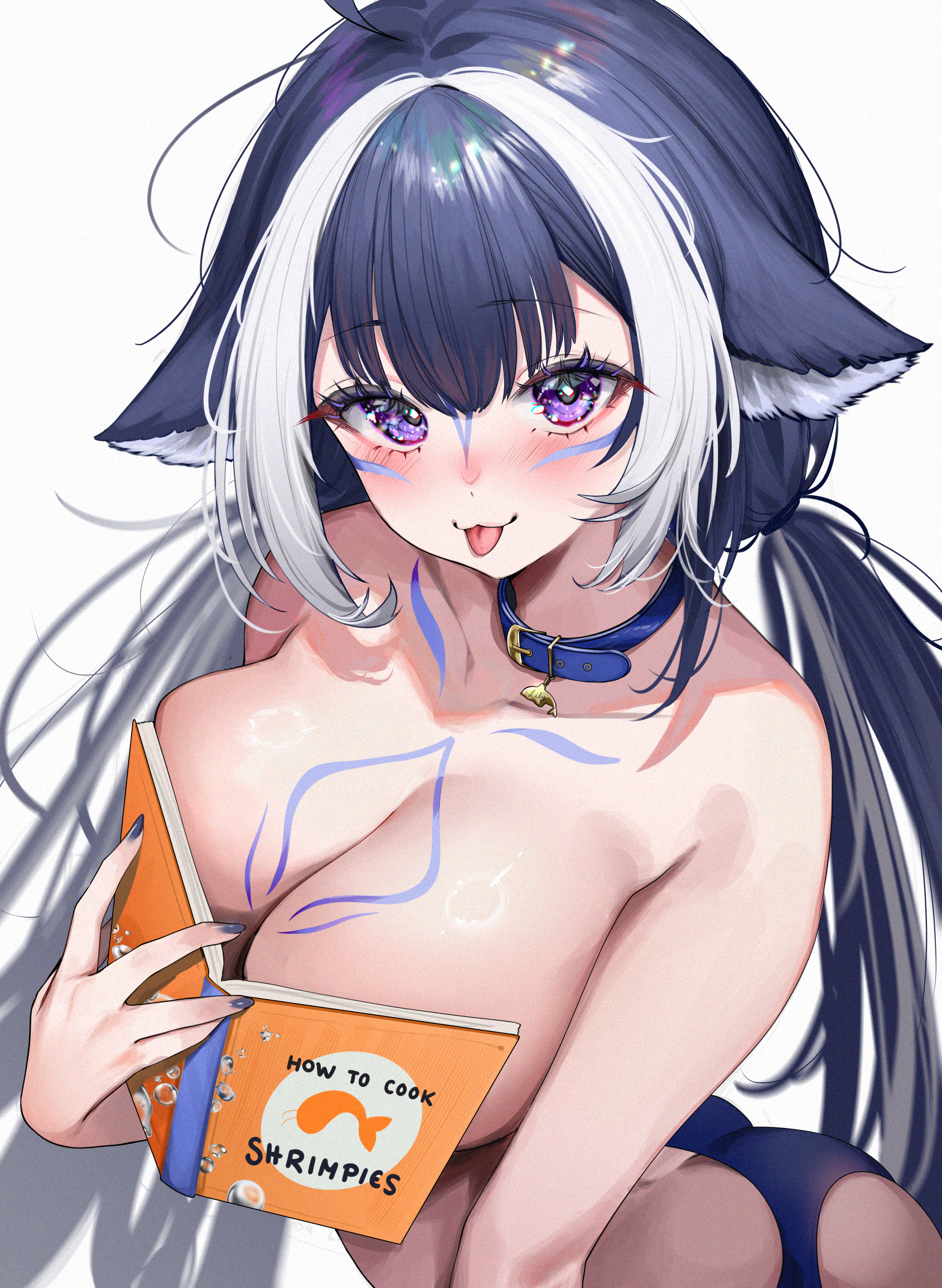 Shylily Book LOWRES.png