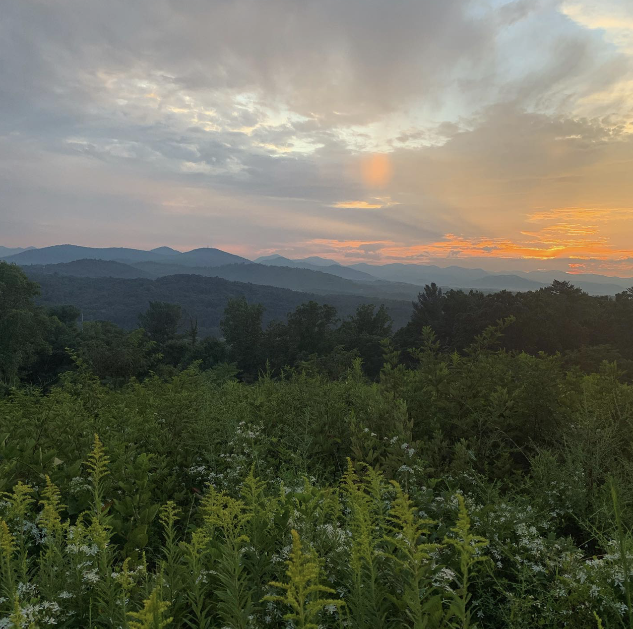 Sunset over a mountain range with layered hills in the distance and green foliage in the foreground.