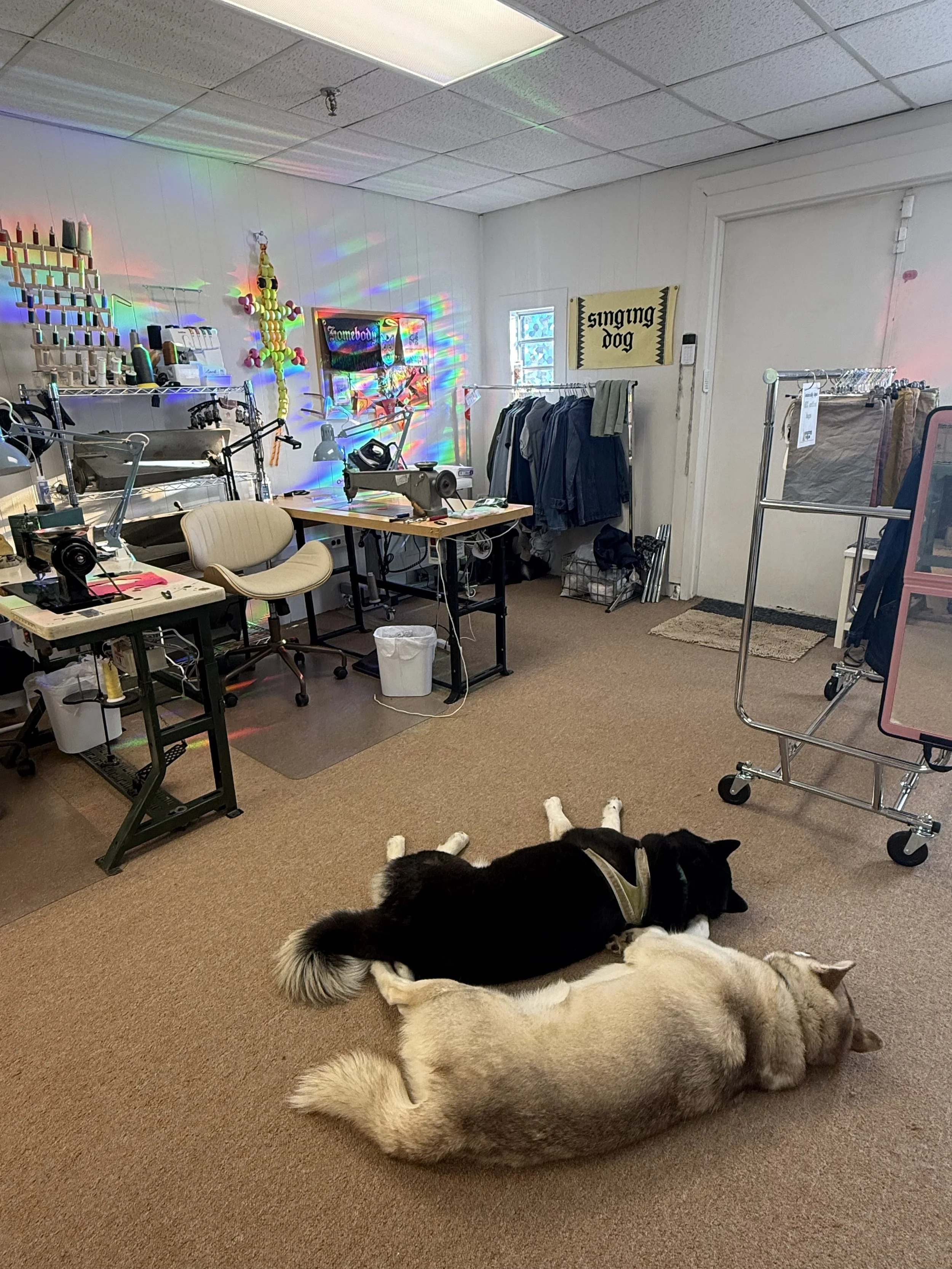A room with sewing and crafting supplies, including a sewing machine, fabric, and tools on tables and racks. There is a sign on the wall that says "singing dog" and various decorations, such as yarn art pieces, on the wall. Several dogs are lying on the carpeted floor in front of the camera.