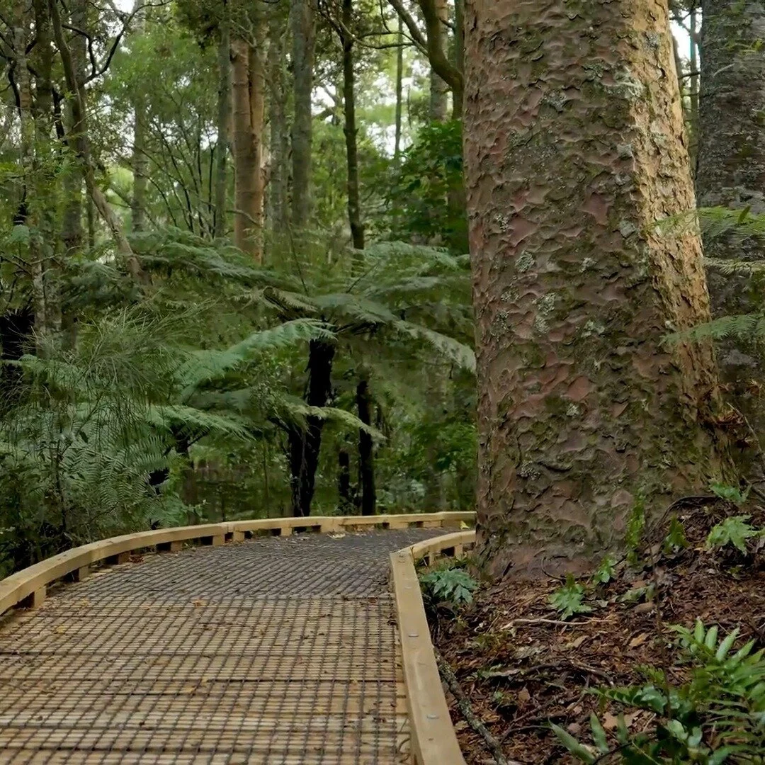 Health and Safety Policy Frame Group