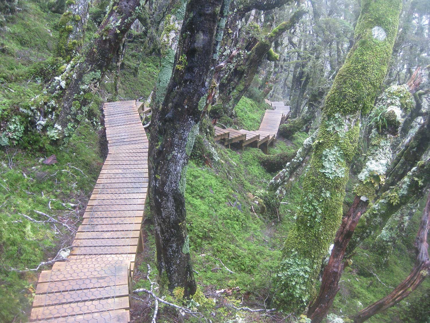 Hump Ridge Track