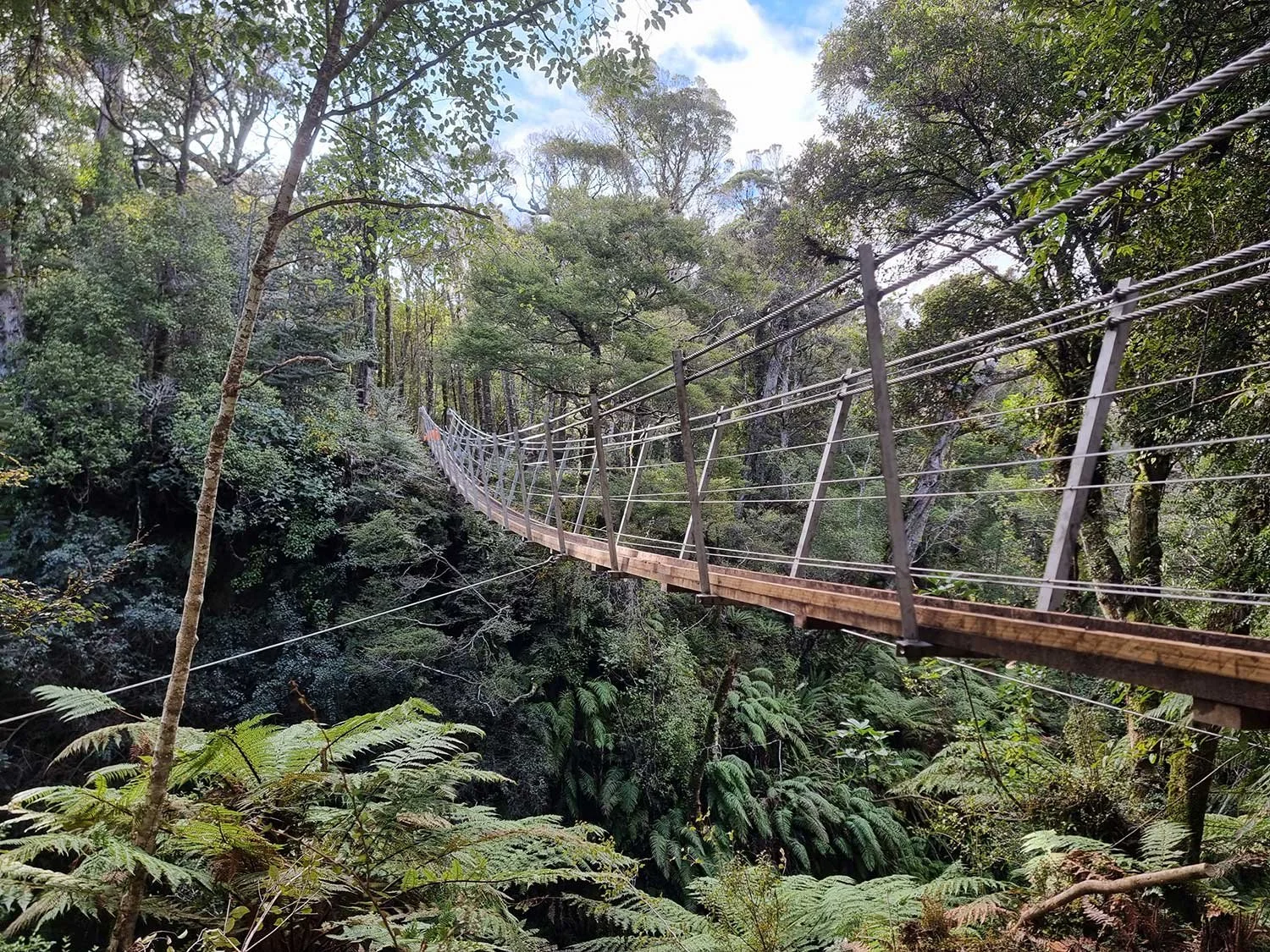 Hump Ridge Track and South Coast Swing Bridges